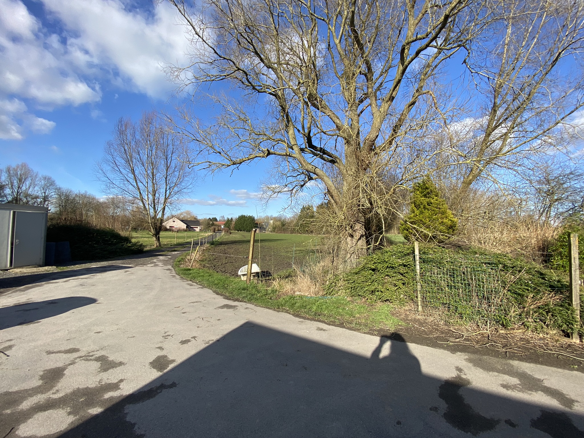 Vue générale du site
